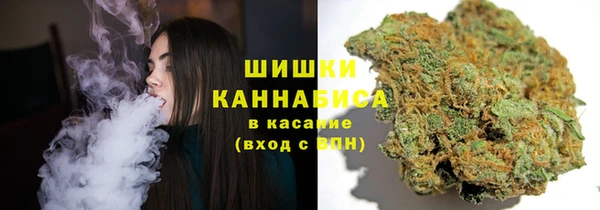 СК Волоколамск
