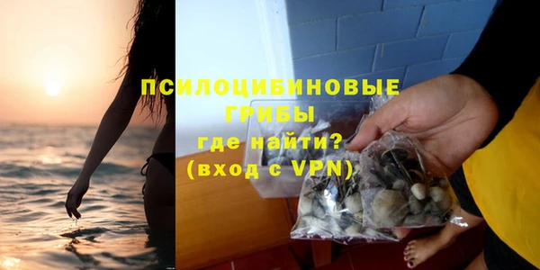хмурый Верея