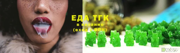 СК Волоколамск