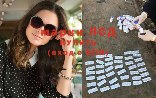 стаф Володарск